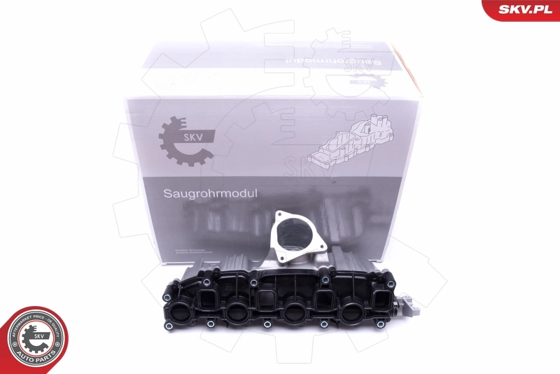 Intake Manifold Module